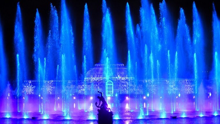 Palm House CaK 2022 Ines S D 0