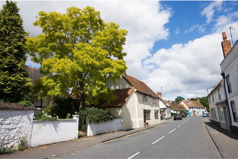 Explore the region's rich heritage and customs.