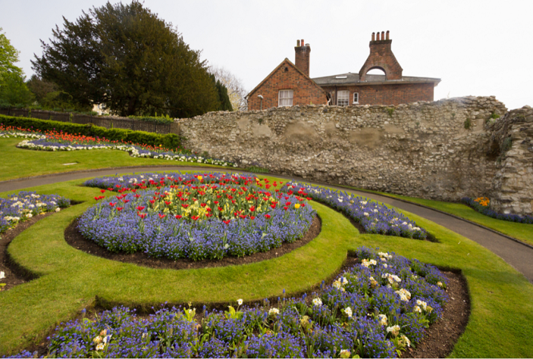 Peaslake: A Hidden Gem in the Surrey Hills for Outdoor Adventure and Tranquil Escapes