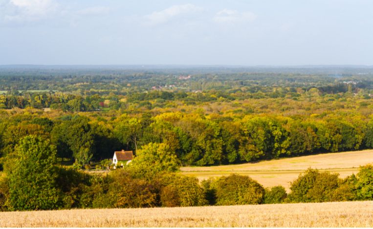Explore Oxshott: Surrey’s Exclusive Village of Luxury and Nature