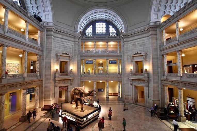 michellefortephotography overview of museum of natural history atrium mydccool via crowdriff