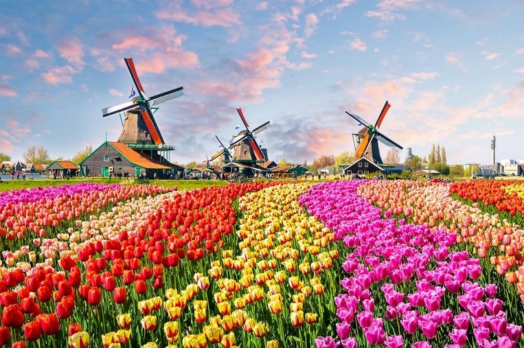 shutterstock 490194529