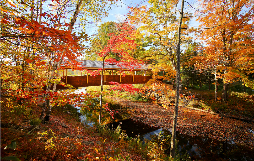 The Best Spots in the UK to See Autumn Colors