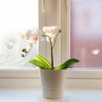 Modern Serviced Studio Apartment in Derby at 105 Parliament Street (image 10)