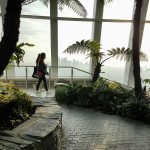 Two Women Walking Inside a Building With Garden