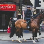 Man Riding on Brown Horse